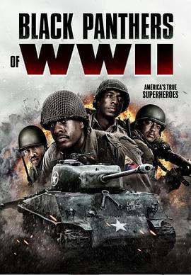 二战黑豹封面图