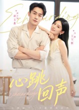 心跳回声封面图