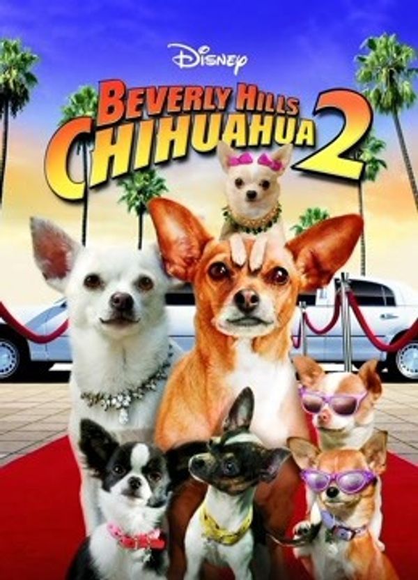 比弗利拜金狗2封面图