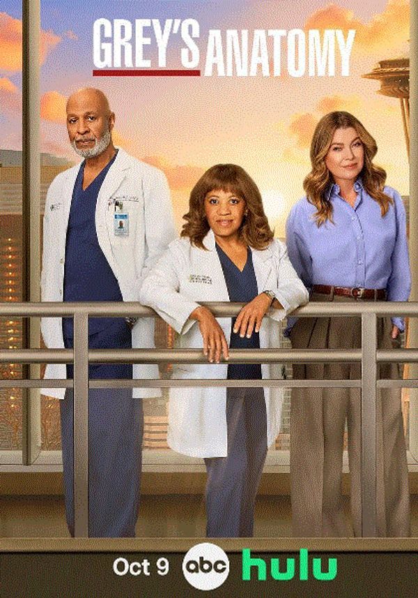 实习医生格蕾第22季封面图