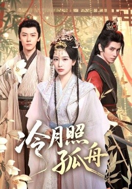 冷月照孤舟封面图