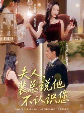 夫人裴总说他不认识您封面图