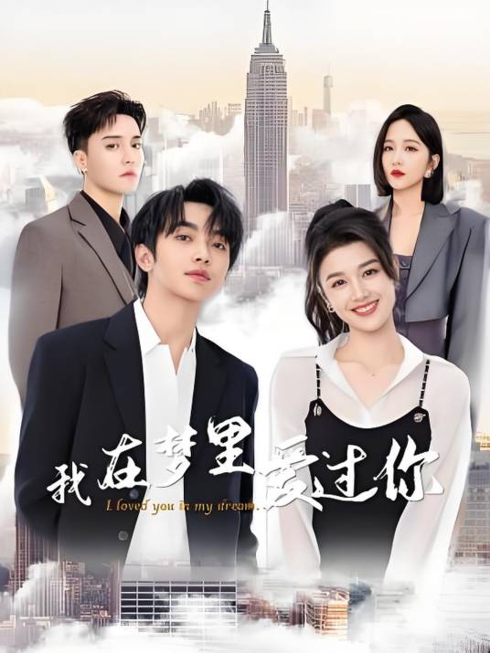 我在梦里爱过你封面图