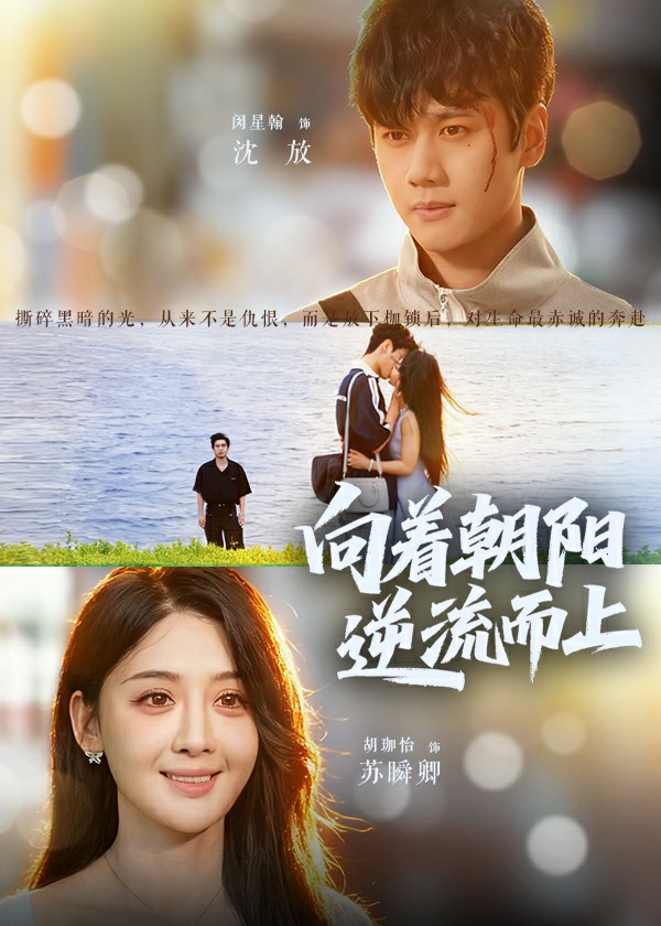 向着朝阳逆流而上封面图