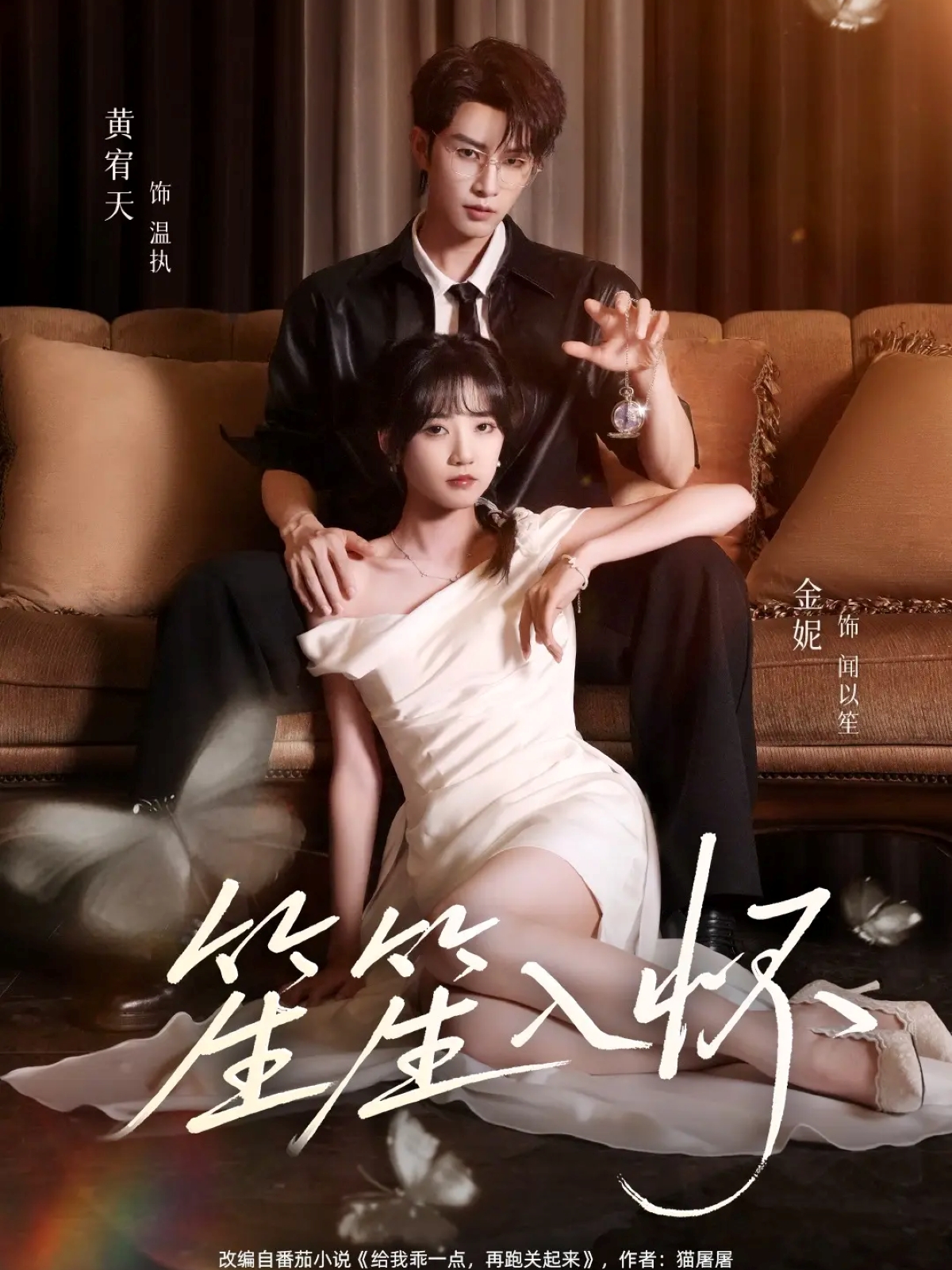 笙笙入怀封面图