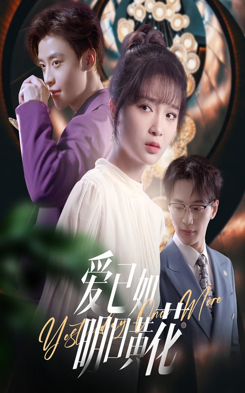 爱已如明日黄花封面图