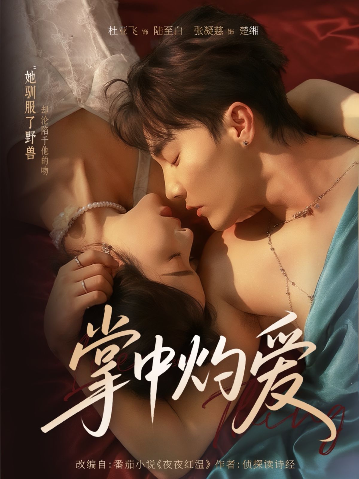 掌中灼爱封面图