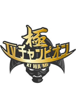 电视冠军之极封面图