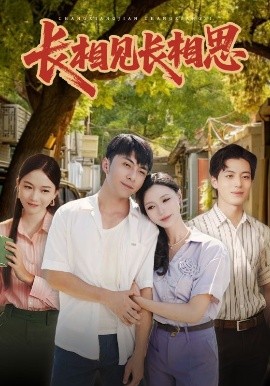 长相见长相思封面图