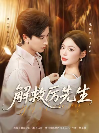 解救厉先生封面图