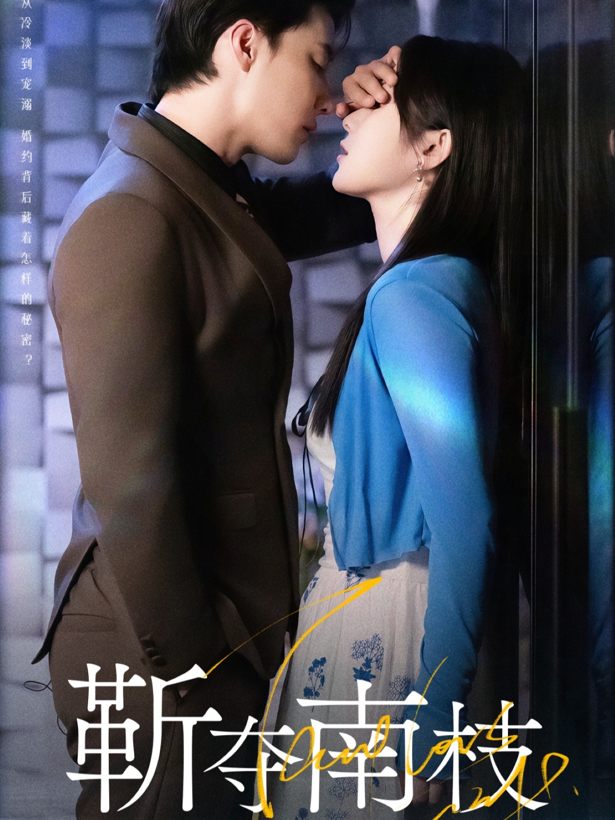 靳夺南枝封面图