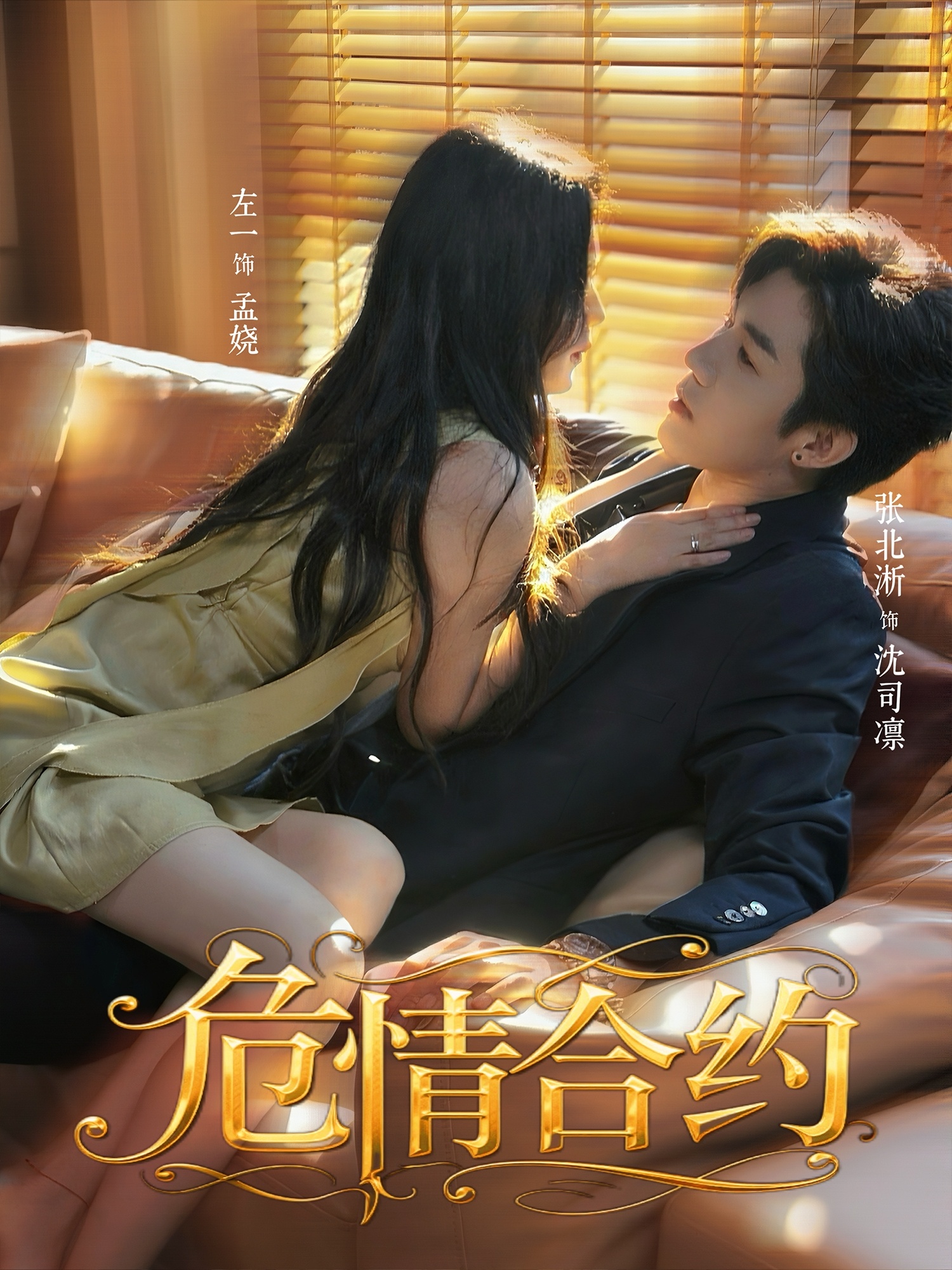 危情合约封面图