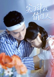 实习律政俏佳人封面图