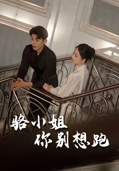 骆小姐你别想跑封面图