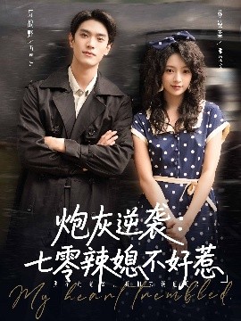 炮灰逆袭七零辣媳不好惹封面图