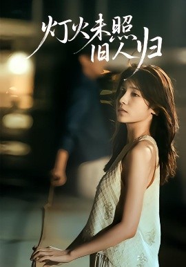 灯火未照旧人归封面图