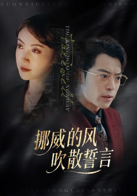 挪威的风，吹散誓言封面图