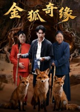 金狐奇缘封面图