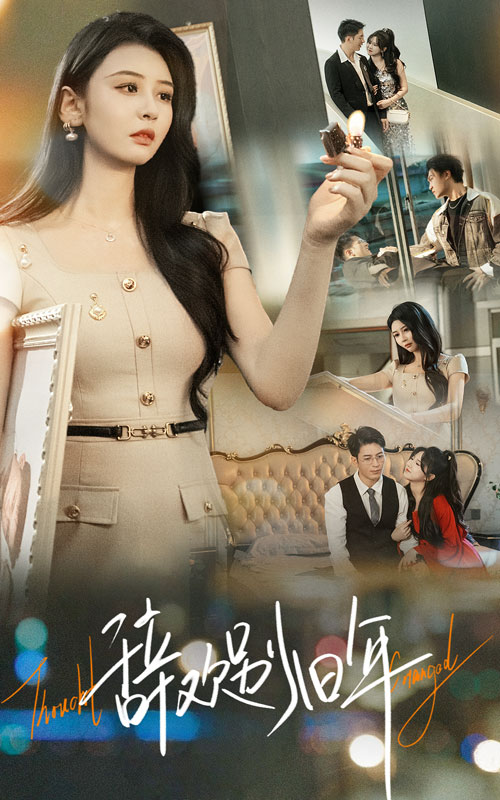 辞欢别旧年封面图