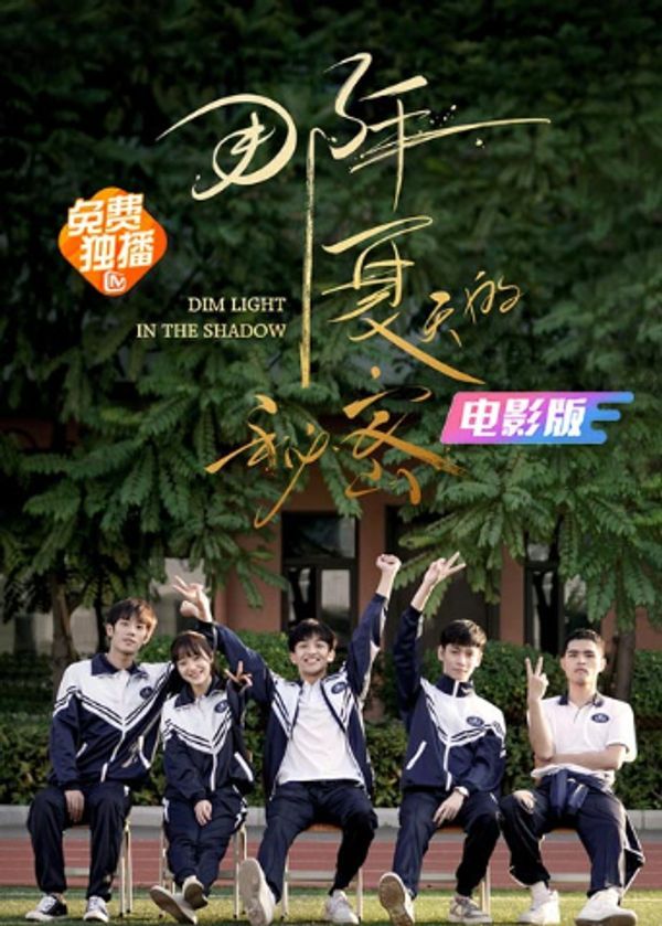 那年夏天的秘密 电影版封面图