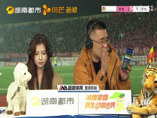 湖南省足球联赛 常德队VS怀化队 20251031封面图