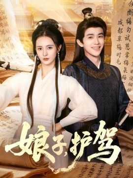 娘子护驾封面图