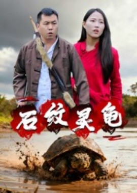 石纹灵龟封面图