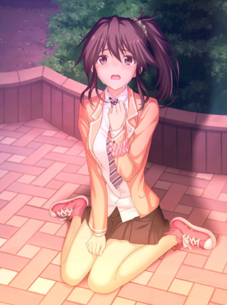 少女的回忆封面图