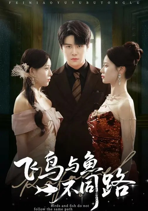飞鸟与鱼不同路封面图