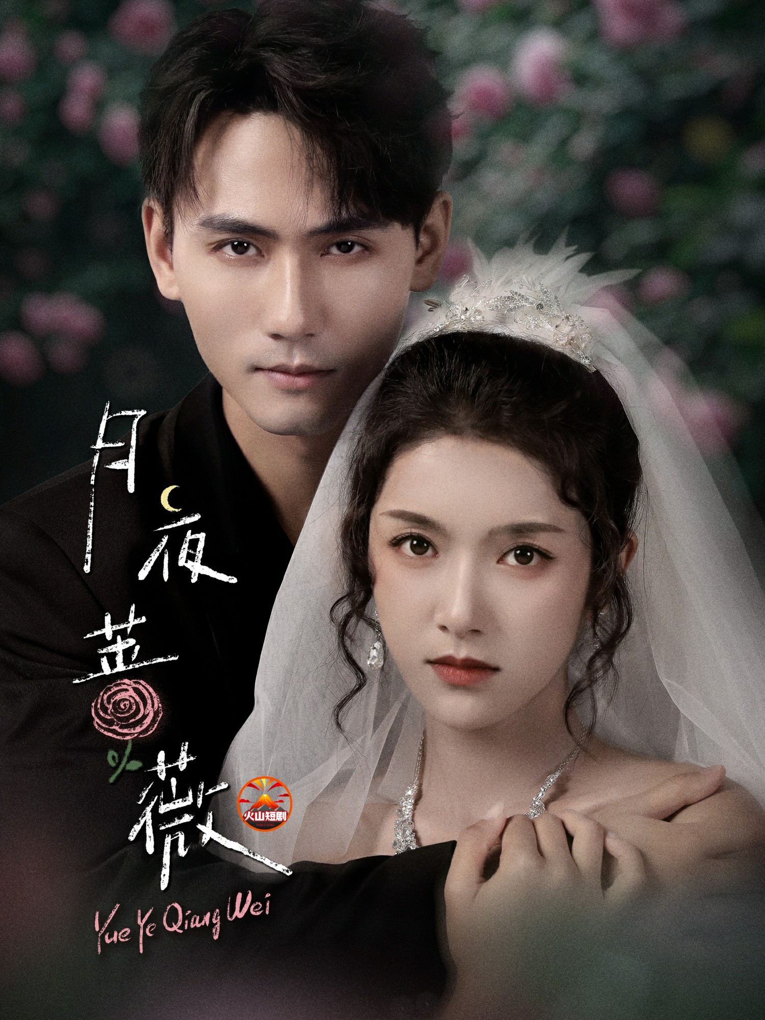 月夜蔷薇封面图