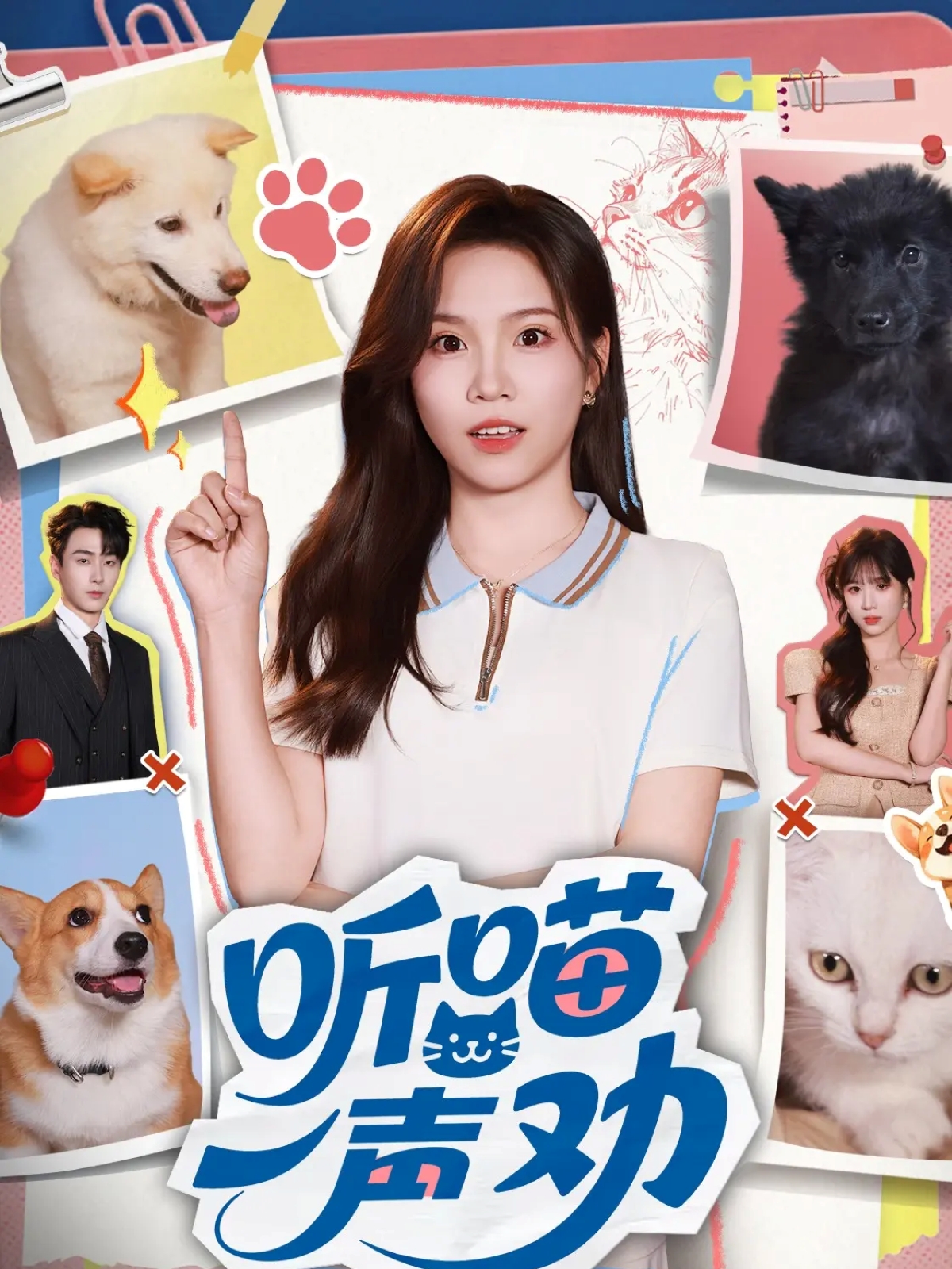 听喵一声劝封面图