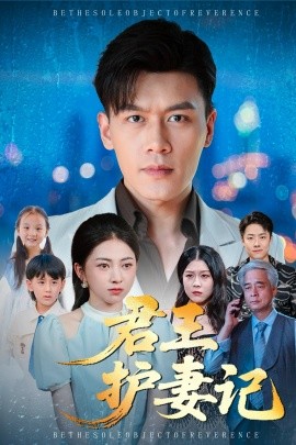 君王护妻记 独尊封面图