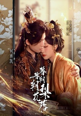 暮暮朝朝梨花落封面图