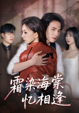 霜染海棠忆相逢封面图