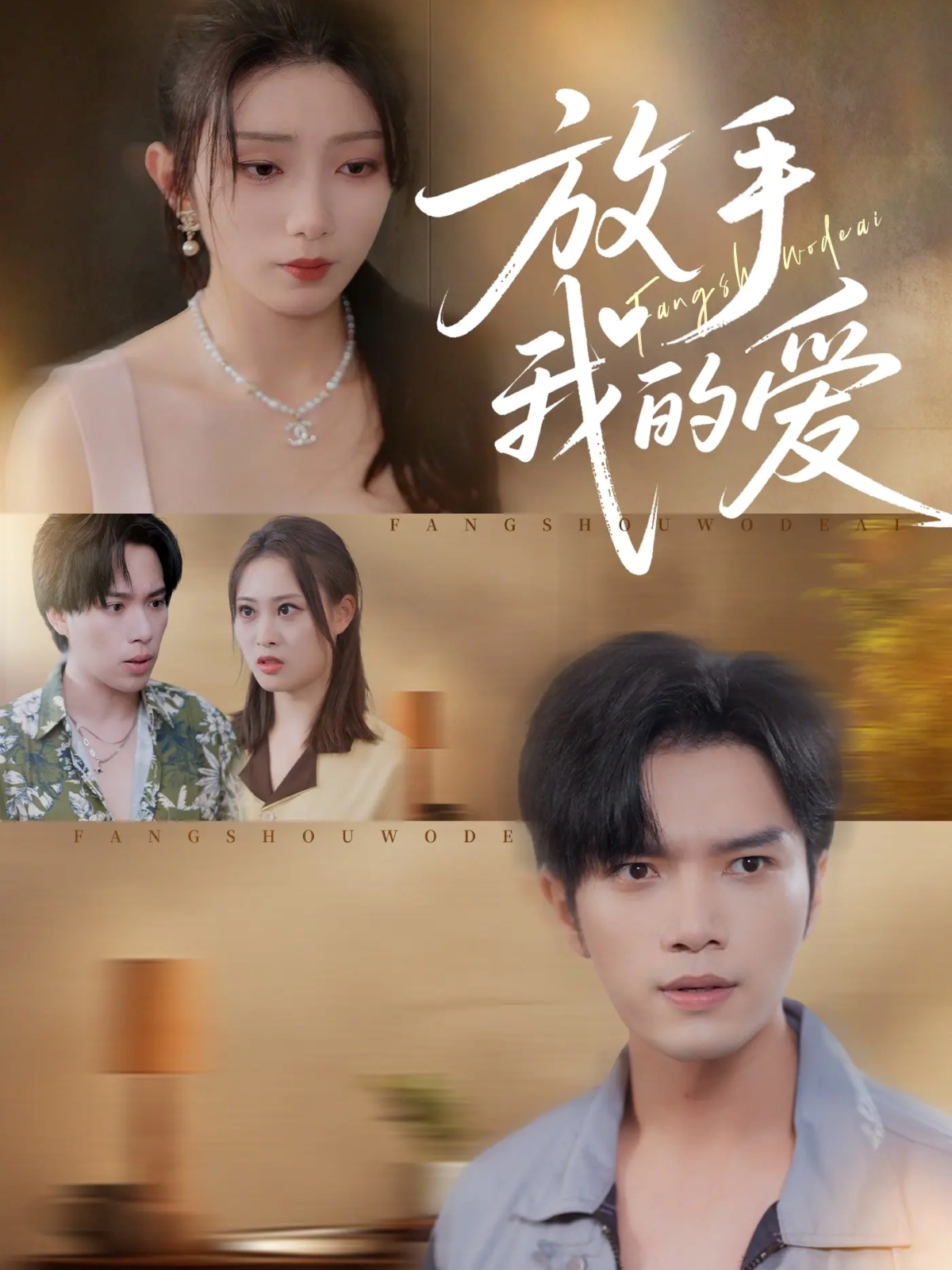 放手我的爱封面图