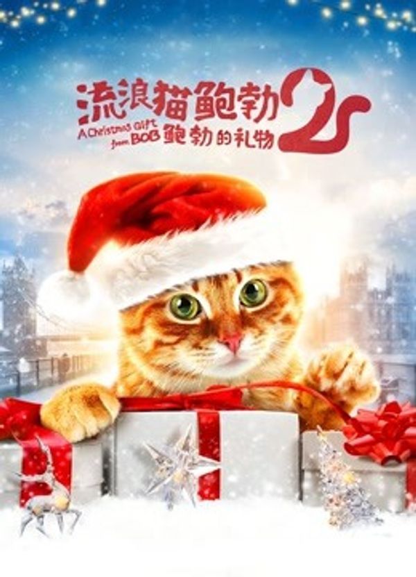 流浪猫鲍勃2：鲍勃的礼物（普通话）封面图