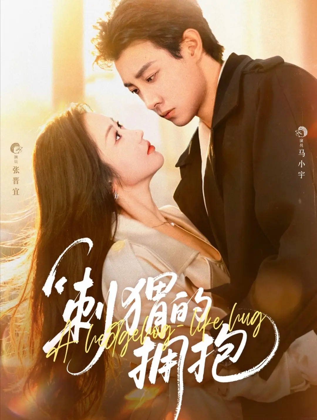 刺猬的拥抱封面图